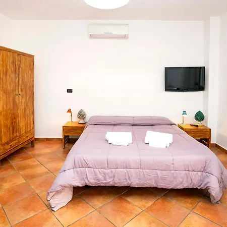 Le Tartarughe לטויאני